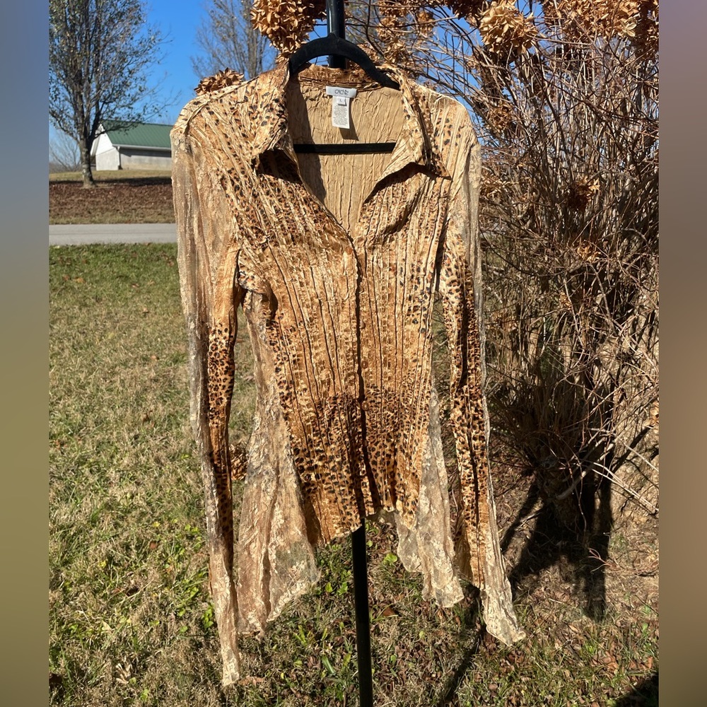 Y2K Vintage Cheetah Pleated Lace Button Down Silky Shirt